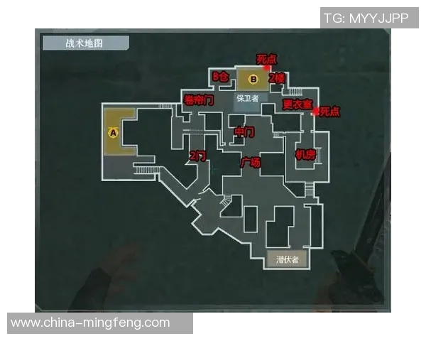 杭州排球队防守体系解析与战术创新探讨