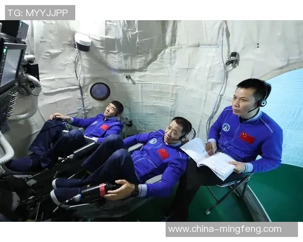 专访杨芳：探寻篮球领域成功背后的秘诀与智慧