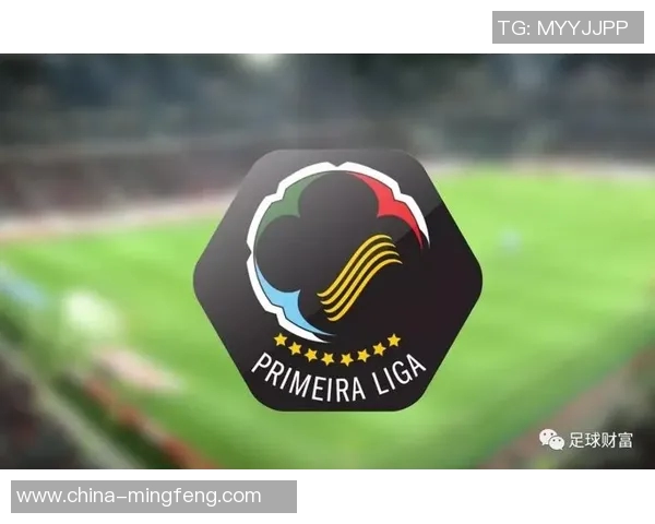 奈良足球明星的崛起与成就探秘及其对当地足球的影响