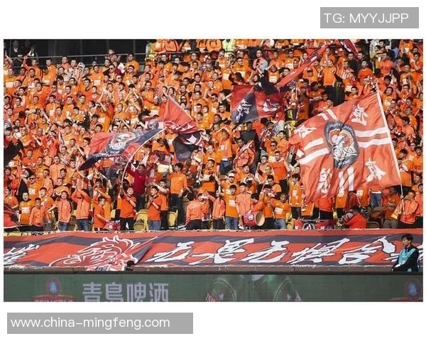 武汉网球队实力引发热议球迷对其表现的看法与争议分析 武汉网球队实力引发热议球迷对其表现的看法与争议分析