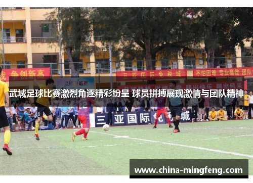 武城足球比赛激烈角逐精彩纷呈 球员拼搏展现激情与团队精神