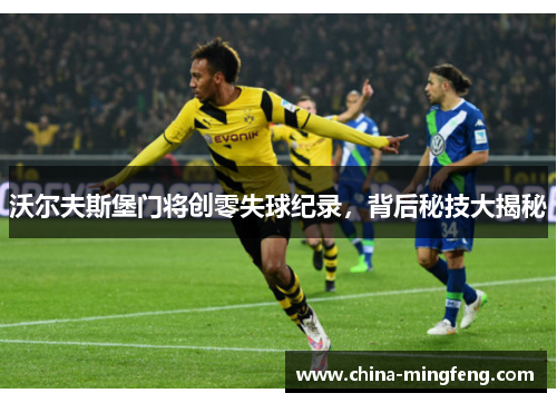 沃尔夫斯堡门将创零失球纪录，背后秘技大揭秘