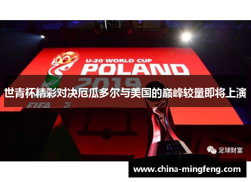 世青杯精彩对决厄瓜多尔与美国的巅峰较量即将上演