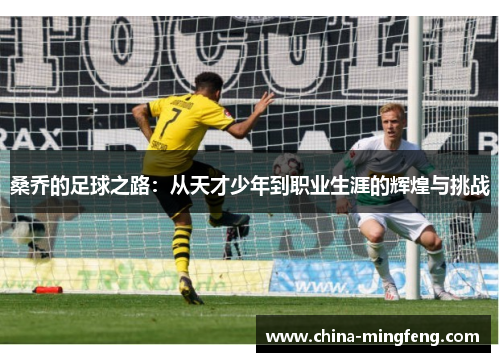 桑乔的足球之路：从天才少年到职业生涯的辉煌与挑战