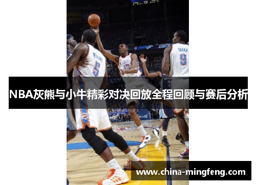 NBA灰熊与小牛精彩对决回放全程回顾与赛后分析